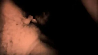 fruit erotic drawings